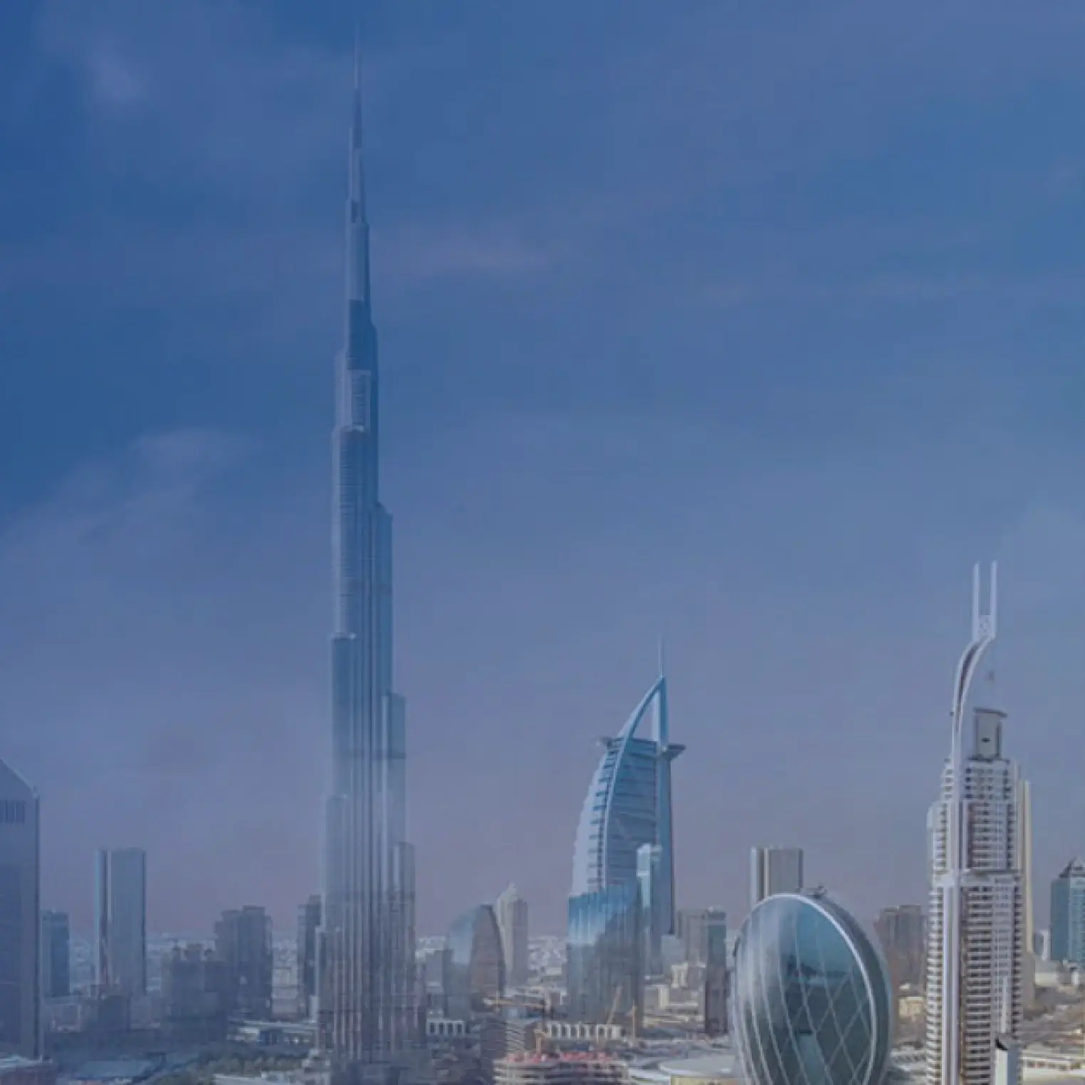 Let Your Career Soar with Alokozay Group